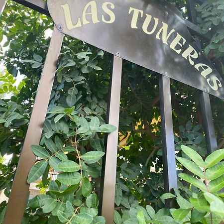 Las Tuneras Apartamento En San Agustin San Bartolomé 外观 照片